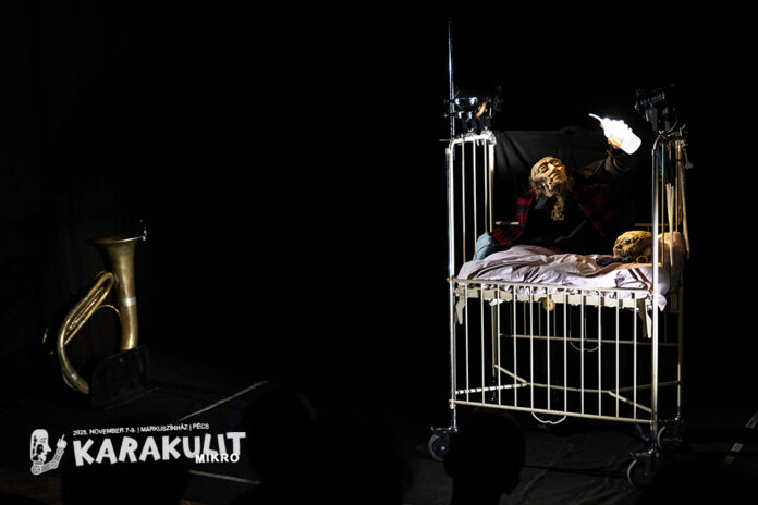 crippletrek-lisen.karakulitmikro_1ok2